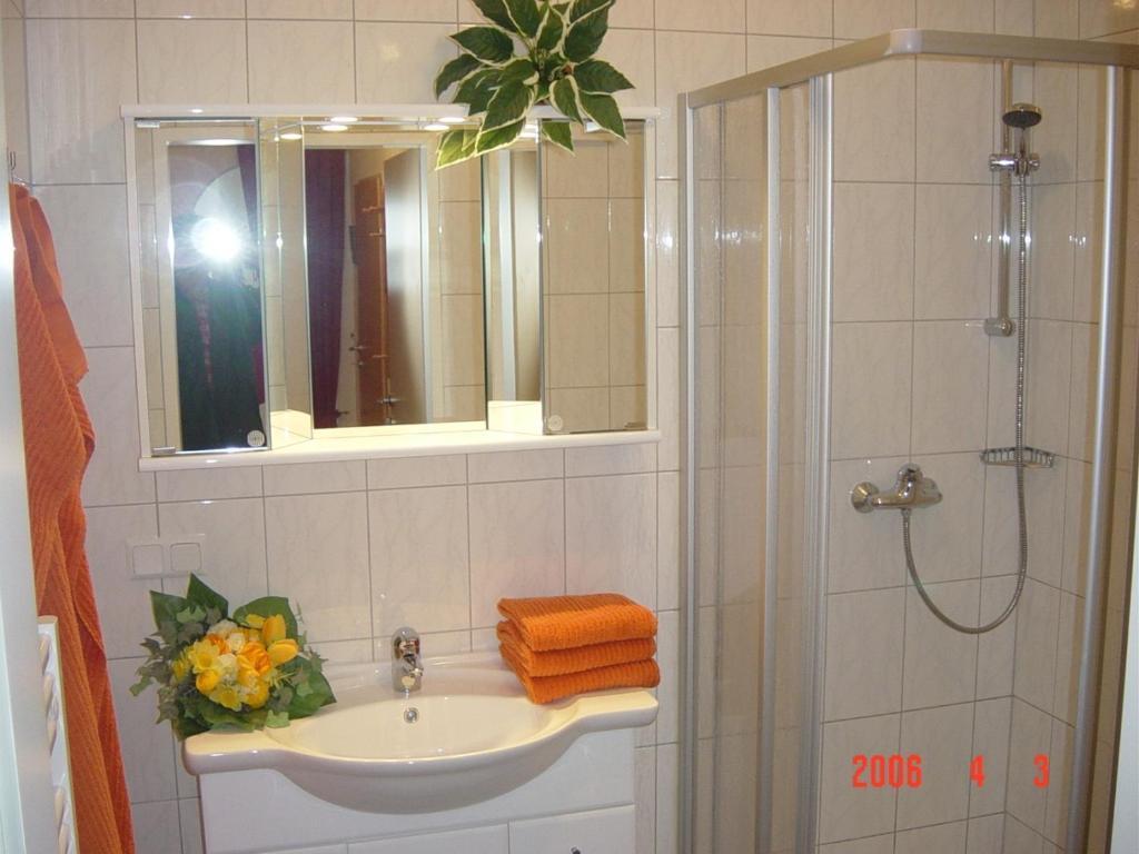 Haus Rigl Daire Schladming Oda fotoğraf