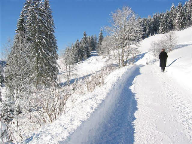 Haus Rigl Daire Schladming Dış mekan fotoğraf